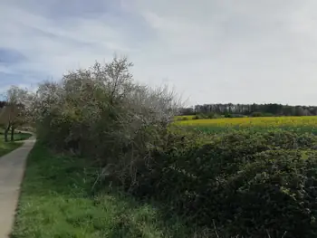 Les Lacs de l'eau d'Heure, Froidchapelle (België)